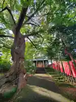 愛宕神社(福島県)
