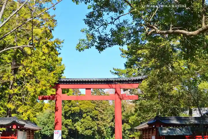 武蔵一宮氷川神社(埼玉県)