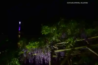 亀戸天神社(東京都)