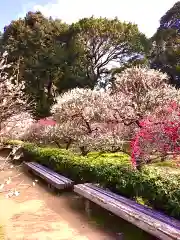 道明寺天満宮(大阪府)