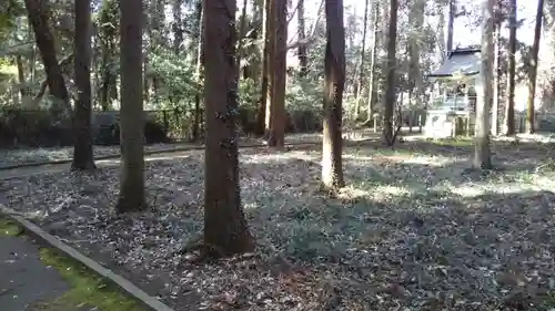 水戸神社の自然