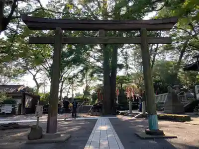 亀岡八幡宮（亀岡八幡神社）の鳥居