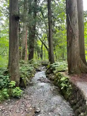 戸隠神社奥社の周辺