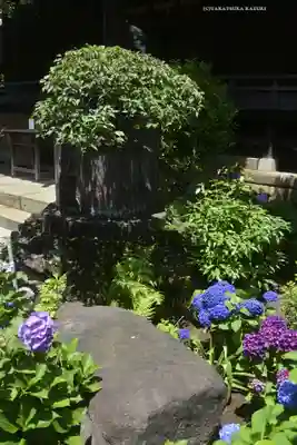 白山神社(東京都)