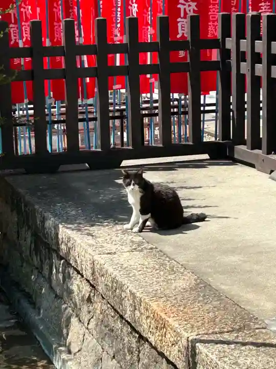 龍泉寺(愛知県)