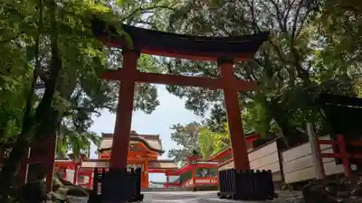 宇佐神宮の鳥居