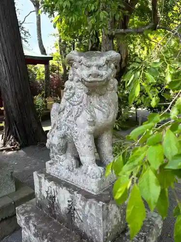 伊豆山神社の狛犬