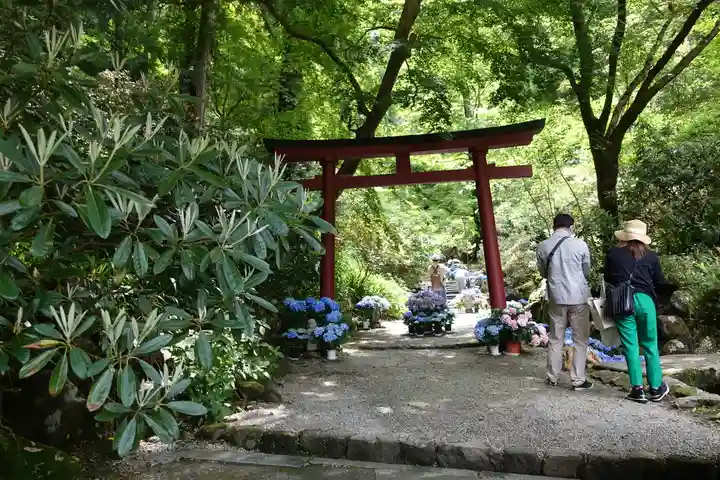 岡寺(龍蓋寺)(奈良県)