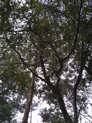 日本唯一香辛料の神　波自加彌神社(石川県)