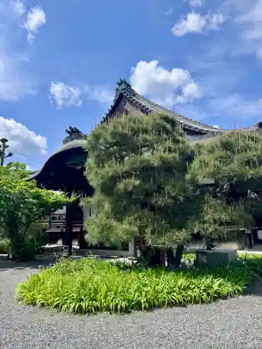 得浄明院（善光寺別院）の{uncategorized: "未分類", other: "その他", undefined: "問題あり", building: "その他建物", grave: "お墓", sacred_gate: "鳥居", guardian: "狛犬", statue: "像", buddha: "仏像", history: "歴史", nature: "自然", garden: "庭園", animal: "動物", pagoda: "塔", temizu: "手水舎", mountain_gate: "山門・神門", sanctuary: "本殿・本堂", subordinate: "末社・摂社", art: "芸術", scenery: "景色", jizo: "地蔵", ema: "絵馬", goshuin: "御朱印", omikuji: "おみくじ", items: "授与品その他", amulet: "お守り", goshuincho: "御朱印帳", eats: "食事", festival: "お祭り", votive_dance: "神楽", shichigosan: "七五三参", wedding: "結婚式", experience: "体験その他", initially: "初詣", around: "周辺", anti_infection: "感染症対策"}