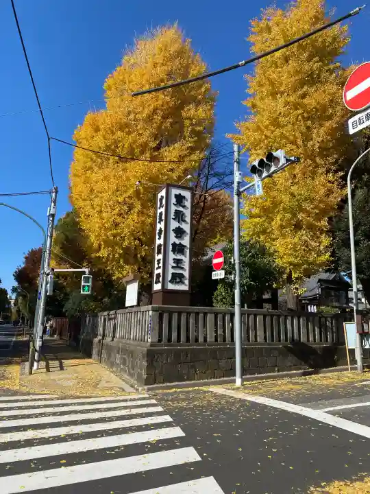 寛永寺開山堂(東京都)