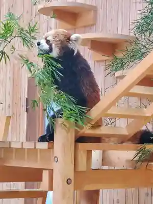 鑁阿寺(栃木県)