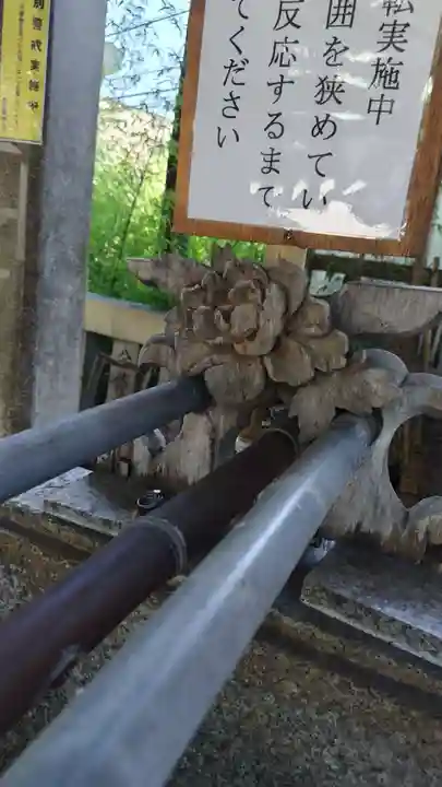 幡ケ谷氷川神社(東京都)