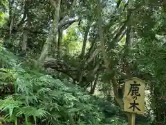 天津神明宮(千葉県)