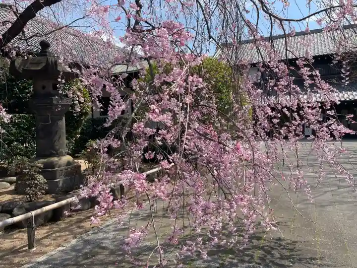 吉祥寺の{uncategorized: "未分類", other: "その他", undefined: "問題あり", building: "その他建物", grave: "お墓", sacred_gate: "鳥居", guardian: "狛犬", statue: "像", buddha: "仏像", history: "歴史", nature: "自然", garden: "庭園", animal: "動物", pagoda: "塔", temizu: "手水舎", mountain_gate: "山門・神門", sanctuary: "本殿・本堂", subordinate: "末社・摂社", art: "芸術", scenery: "景色", jizo: "地蔵", ema: "絵馬", goshuin: "御朱印", omikuji: "おみくじ", items: "授与品その他", amulet: "お守り", goshuincho: "御朱印帳", eats: "食事", festival: "お祭り", votive_dance: "神楽", shichigosan: "七五三参", wedding: "結婚式", experience: "体験その他", initially: "初詣", around: "周辺", anti_infection: "感染症対策"}