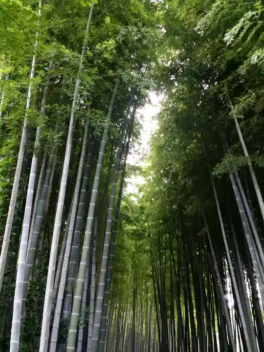 化野念仏寺の周辺