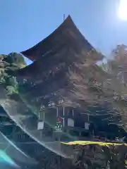 西明寺の塔