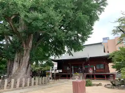 飛騨国分寺の本殿・本堂