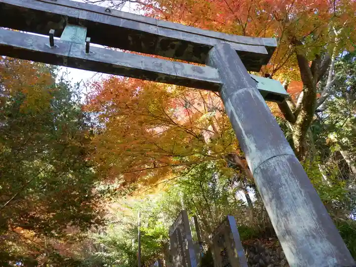 武蔵御嶽神社の鳥居