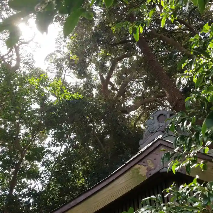 愛宕神社の自然