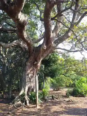三熊神社の自然