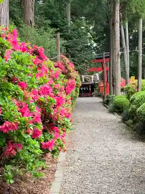 安住神社のその他建物