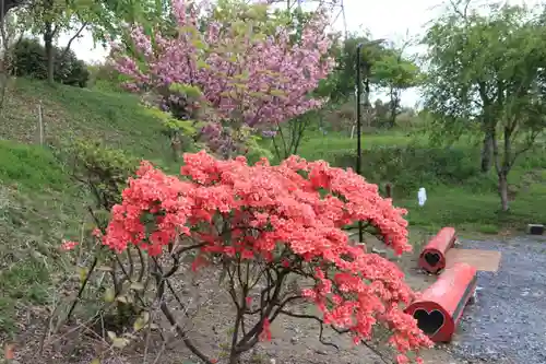 阿久津「田村神社」（郡山市阿久津町）旧社名：伊豆箱根三嶋三社の庭園