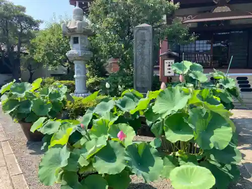 要法寺(神奈川県)