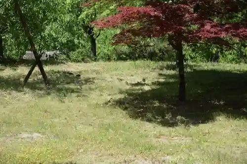 平安神宮の庭園