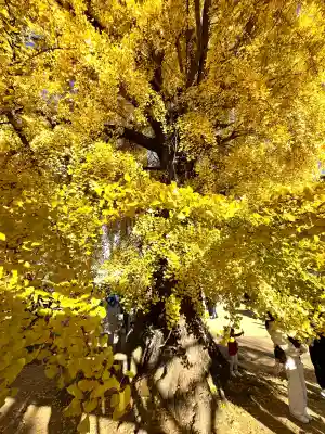 丹生酒殿神社(和歌山県)