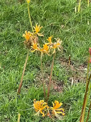 横浜　西方寺(神奈川県)