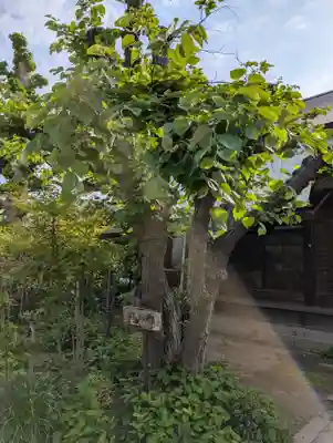 如来寺(兵庫県)