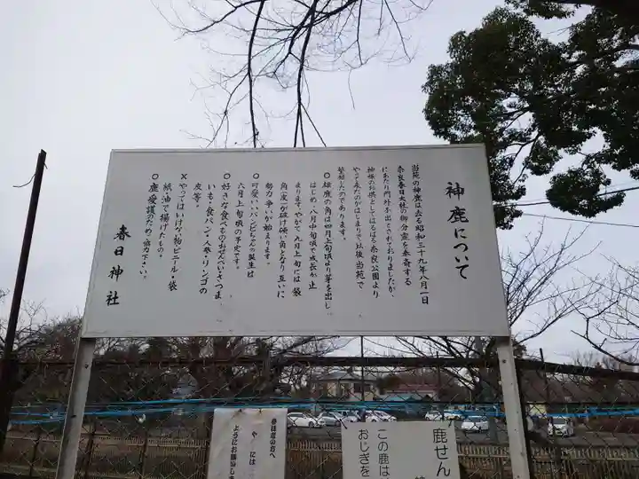 相州春日神社(神奈川県)