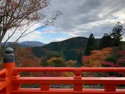 鞍馬寺(京都府)