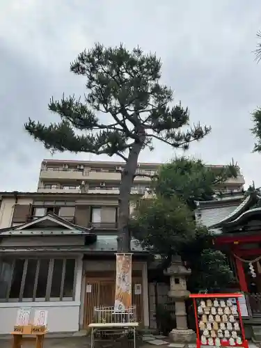 蒔田杉山神社(神奈川県)