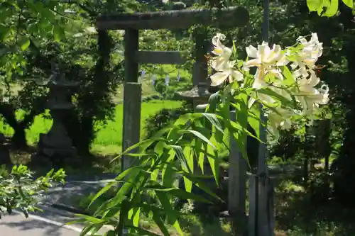 鹿島大神宮の鳥居