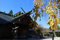 開成山大神宮の本殿・本堂