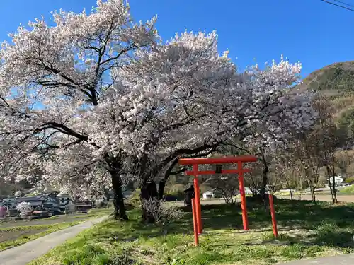 天神宮(伝河原氏屋敷跡)の自然