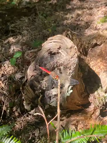 天宮神社(静岡県)