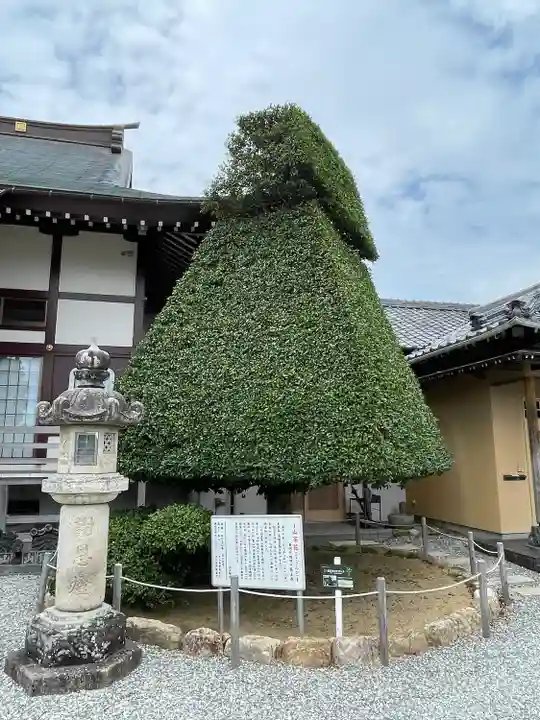 医王寺(愛知県)