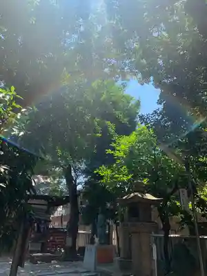 安倍晴明神社（阿倍王子神社境外末社）(大阪府)