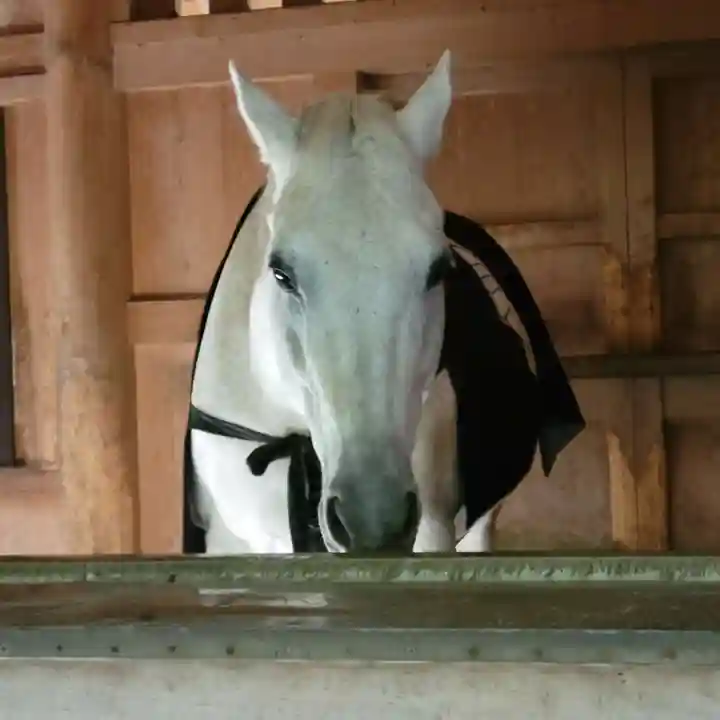 伊勢神宮外宮(豊受大神宮)(三重県)