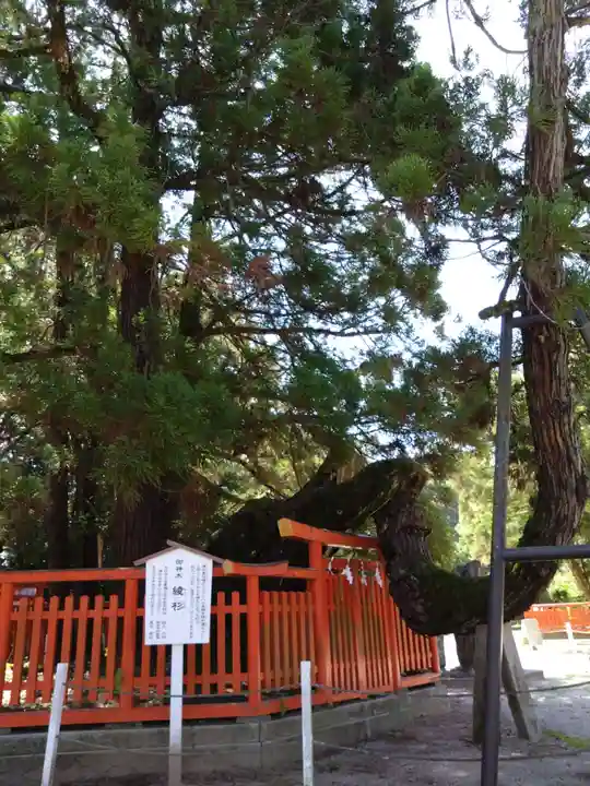 香椎宮(福岡県)