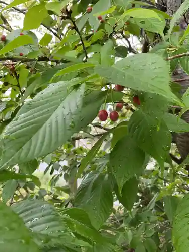 日間賀神社(愛知県)