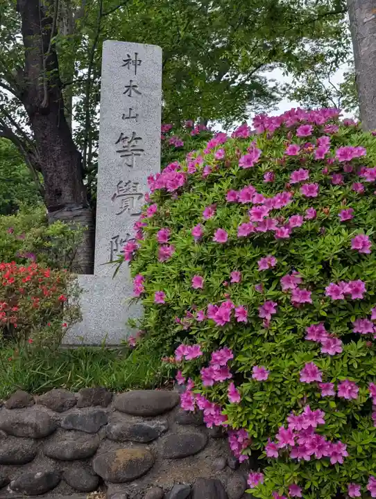 等覚院(神奈川県)