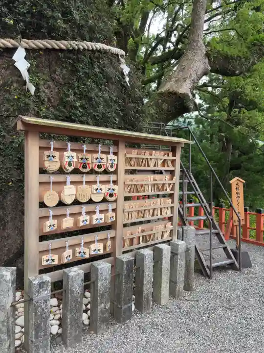熊野那智大社の{uncategorized: "未分類", other: "その他", undefined: "問題あり", building: "その他建物", grave: "お墓", sacred_gate: "鳥居", guardian: "狛犬", statue: "像", buddha: "仏像", history: "歴史", nature: "自然", garden: "庭園", animal: "動物", pagoda: "塔", temizu: "手水舎", mountain_gate: "山門・神門", sanctuary: "本殿・本堂", subordinate: "末社・摂社", art: "芸術", scenery: "景色", jizo: "地蔵", ema: "絵馬", goshuin: "御朱印", omikuji: "おみくじ", items: "授与品その他", amulet: "お守り", goshuincho: "御朱印帳", eats: "食事", festival: "お祭り", votive_dance: "神楽", shichigosan: "七五三参", wedding: "結婚式", experience: "体験その他", initially: "初詣", around: "周辺", anti_infection: "感染症対策"}