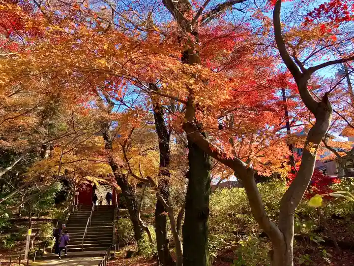 本土寺(千葉県)