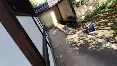 梅宮大社(京都府)