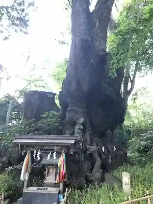 來宮神社のその他建物