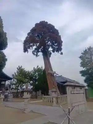 八剱神社（更屋敷）(愛知県)